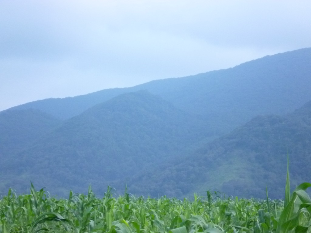 Foto de La Italiana (San Luis Potosí), México