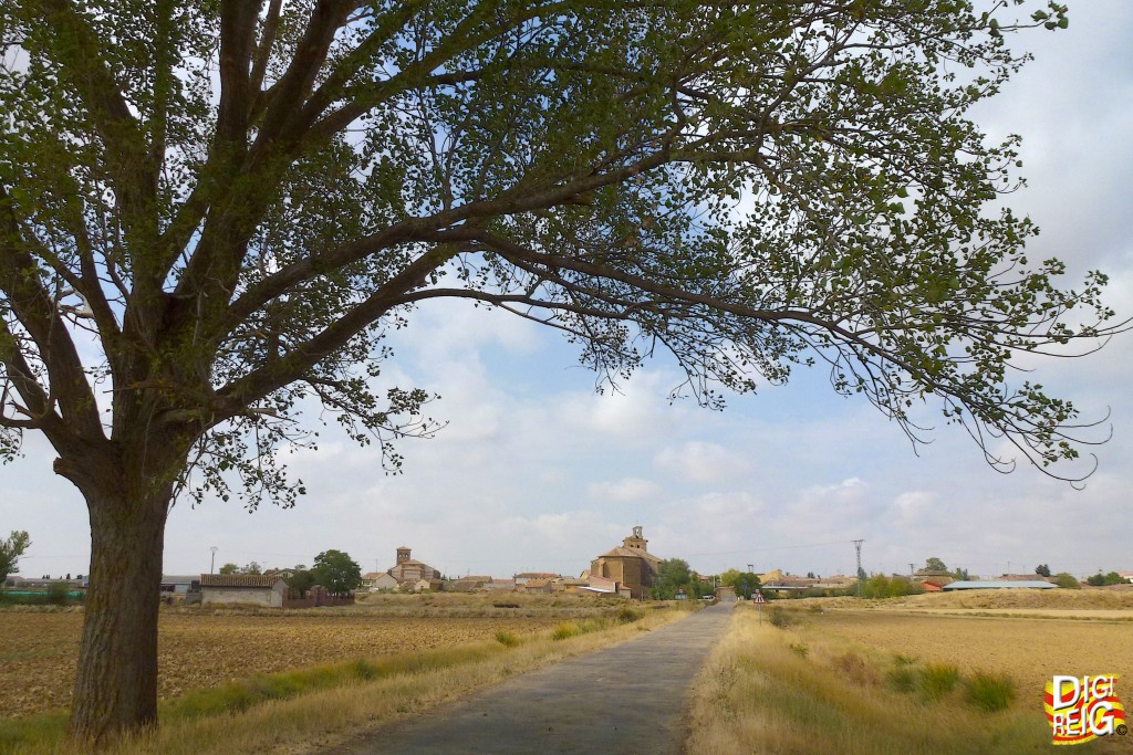 Foto: Panorámica del pueblo. - Boadilla de Rioseco (Palencia), España