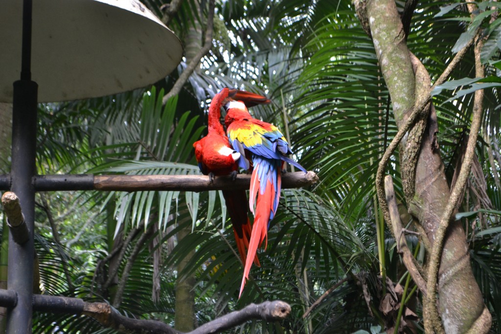 Foto de La Garita (Alajuela), Costa Rica