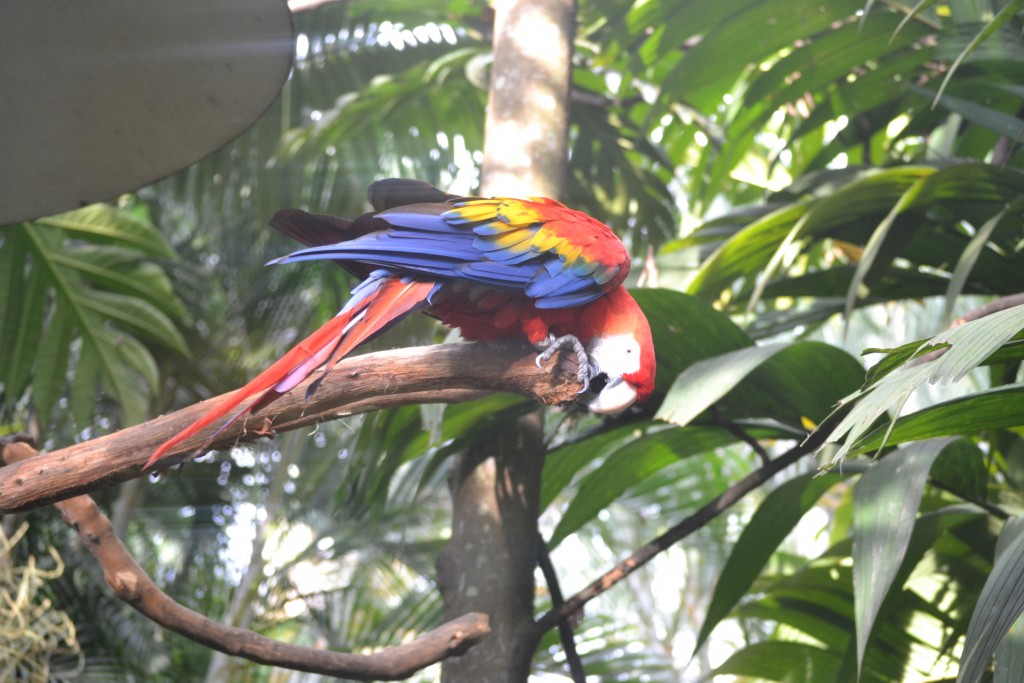 Foto de La Garita (Alajuela), Costa Rica