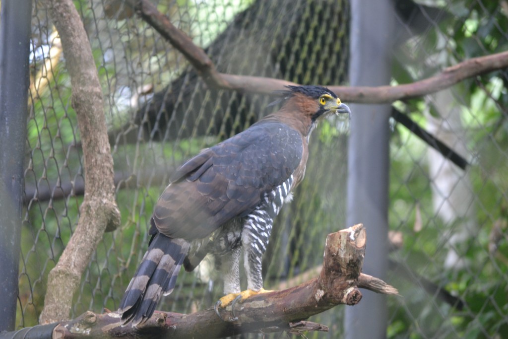 Foto de La Garita (Alajuela), Costa Rica