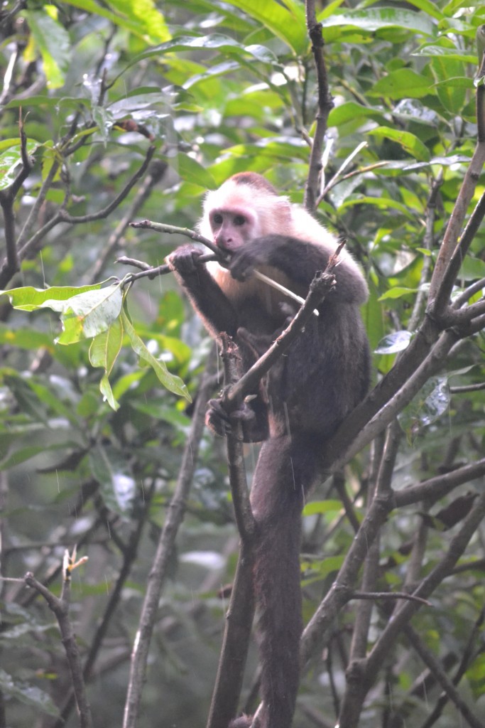 Foto de La Garita (Alajuela), Costa Rica