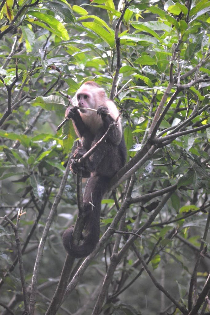 Foto: La Lagarita,, Alajuela - La Garita (Alajuela), Costa Rica