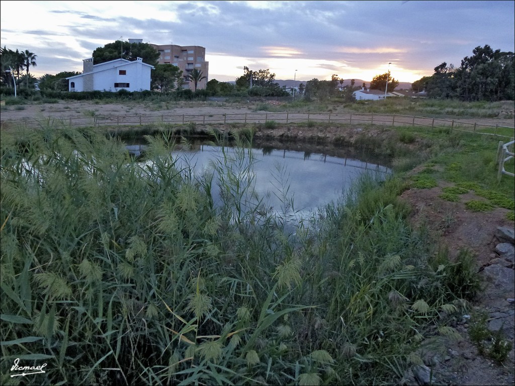 Foto: 120925-19 TORREBLANCA - Torreblanca (Castelló), España