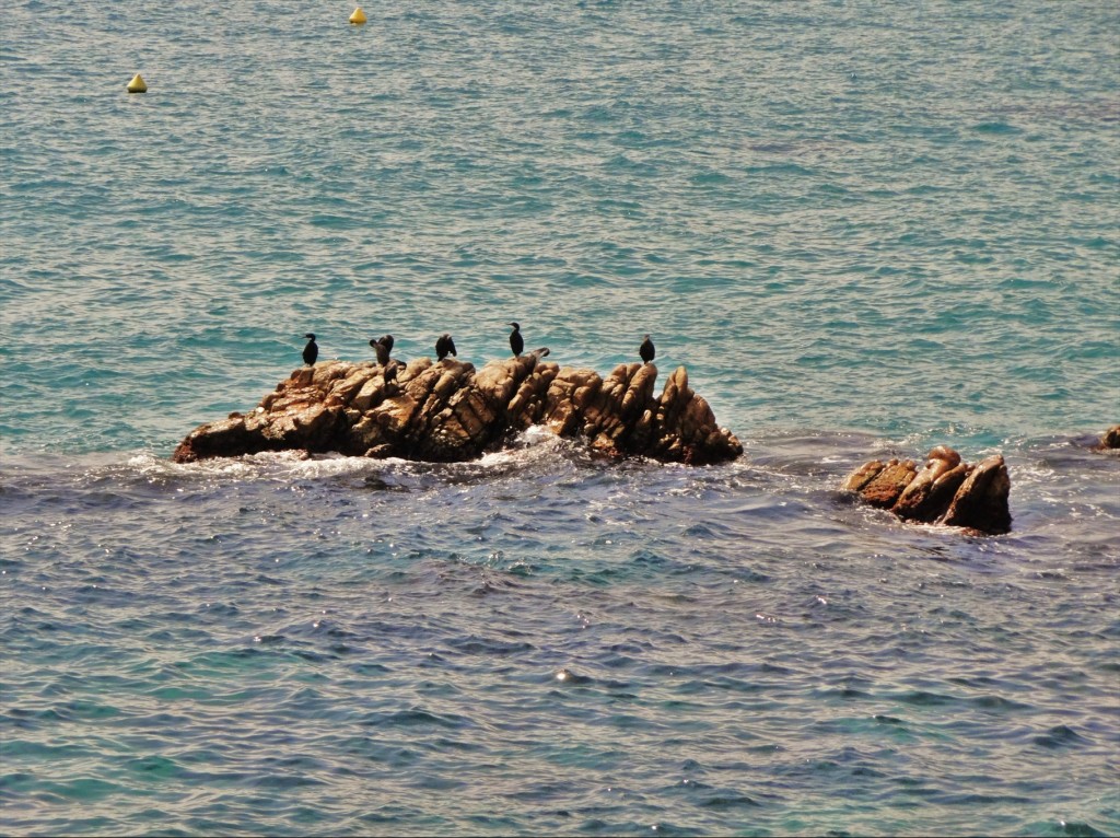 Foto: Platja Gran - Platja d'Aro (Girona), España
