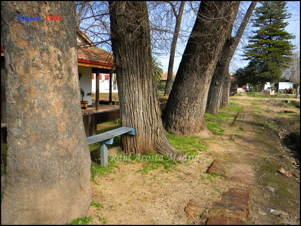 Foto de El Huique (Libertador General Bernardo OʼHiggins), Chile