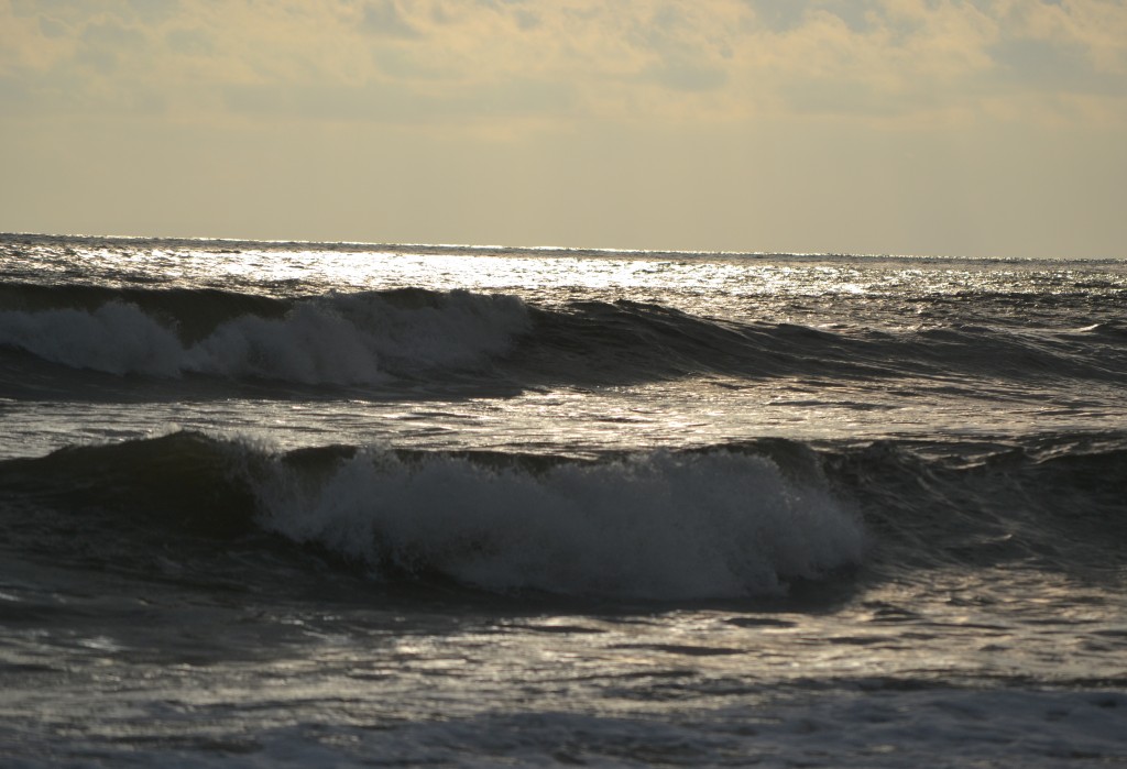 Foto de Jacob (Puntarenas), Costa Rica