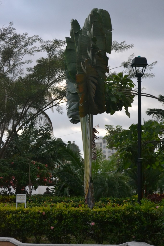 Foto de Jacob (Puntarenas), Costa Rica