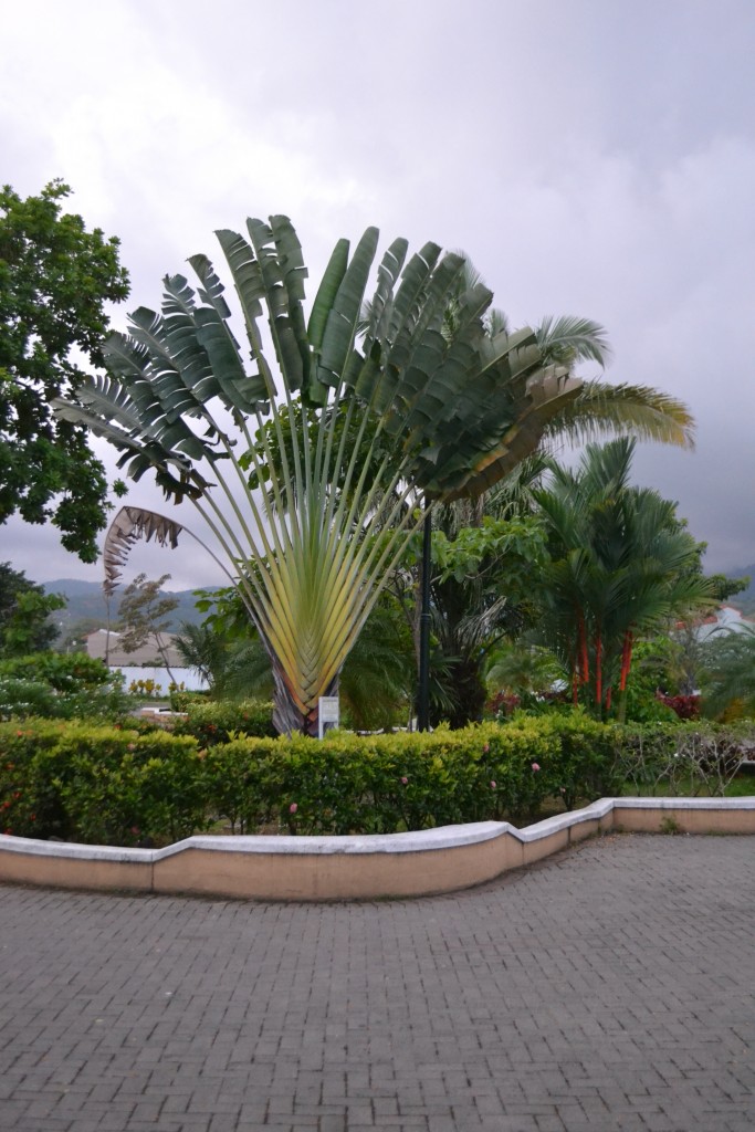 Foto: Parque de jacob - Jacob (Puntarenas), Costa Rica