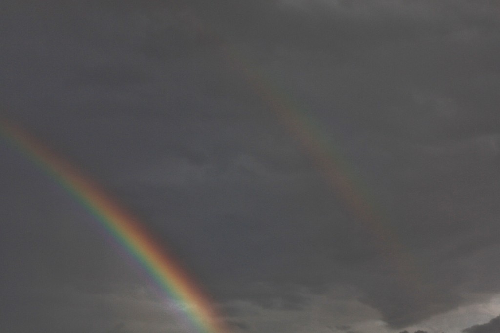 Foto: Vistas desde el castillo - Lorca (Murcia), España