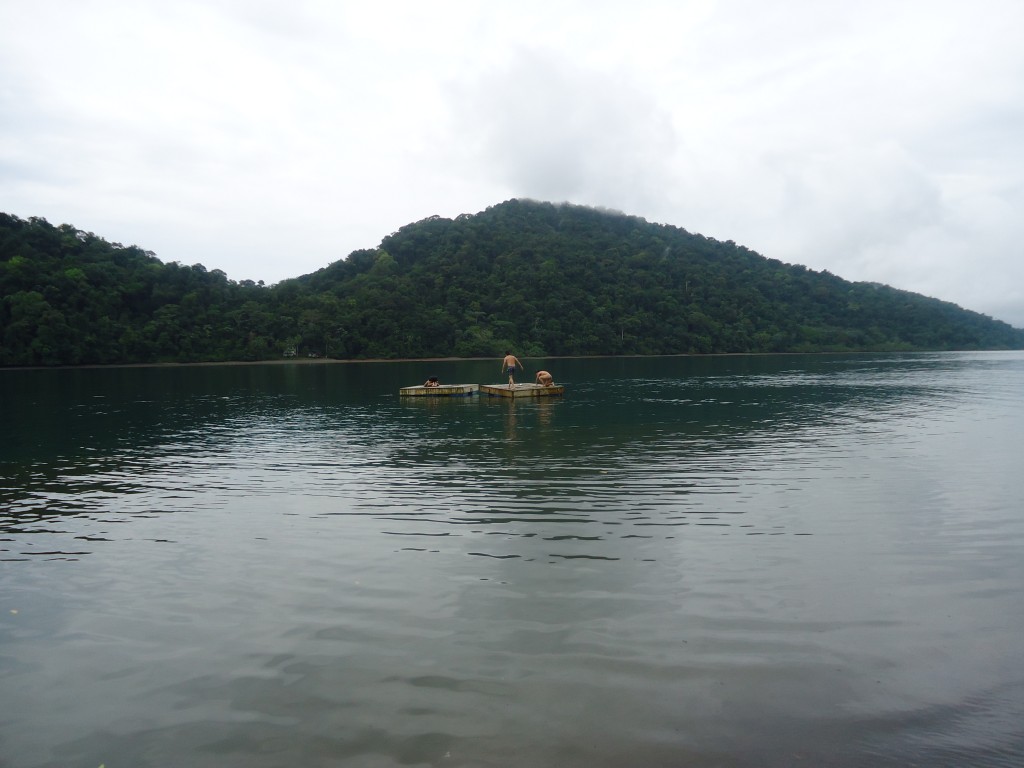 Foto: ensenada de utria - Nuqui (Chocó), Colombia