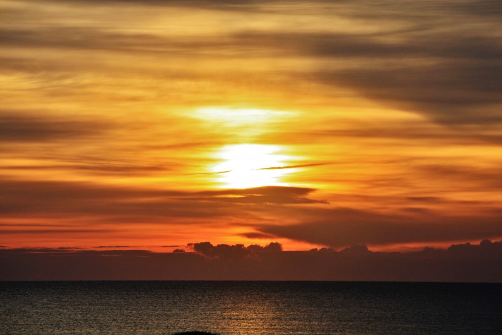 Foto: Amanecer - El Saler (València), España