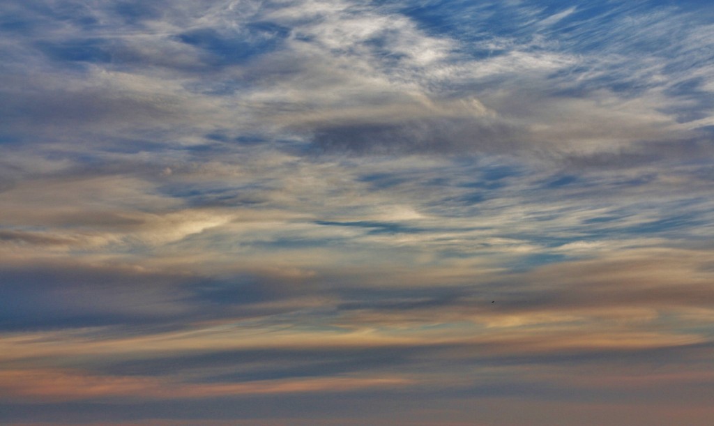 Foto: Amanecer - El Saler (València), España
