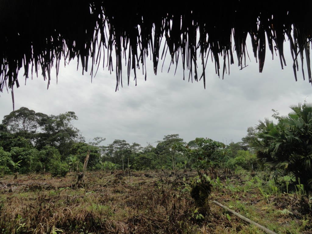 Foto: Paisaje - Madre Tierra (Pastaza), Ecuador