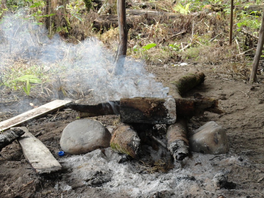 Foto: leños quemandose - Madre Tierra (Pastaza), Ecuador