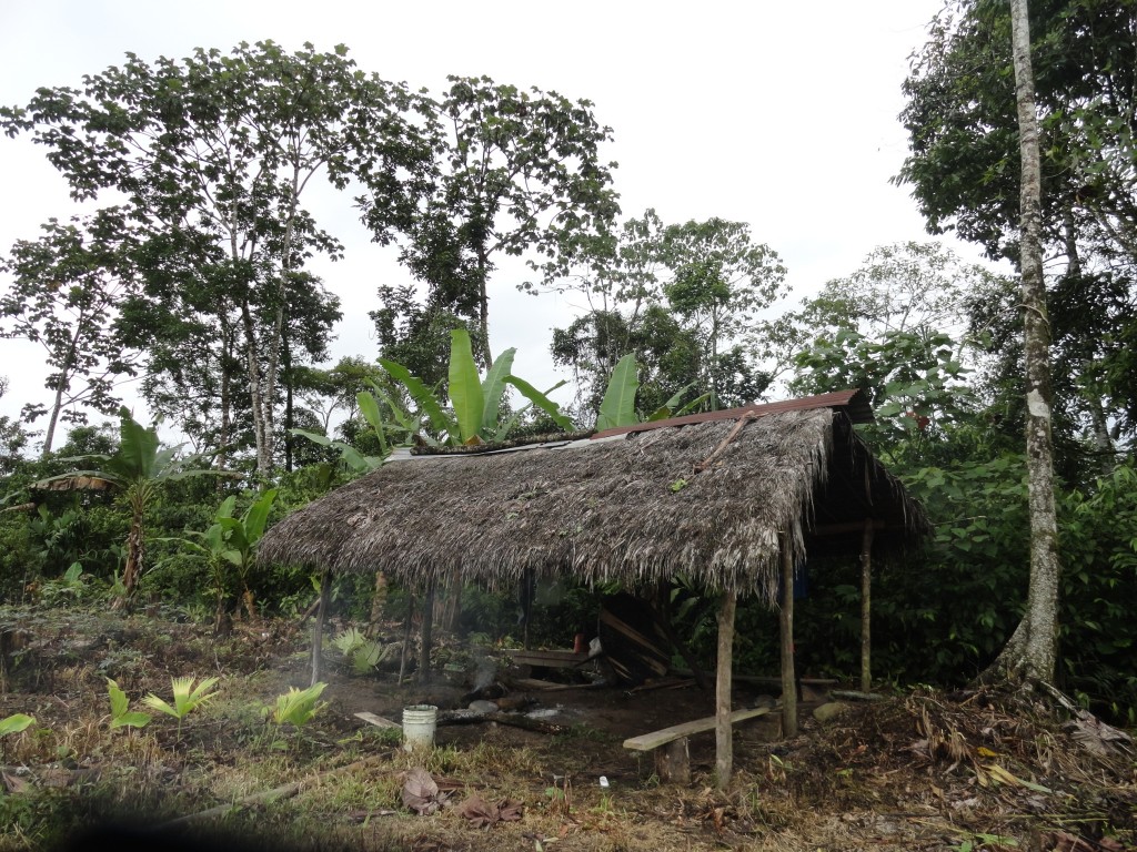 Foto: La choza - Madre Tierra (Pastaza), Ecuador