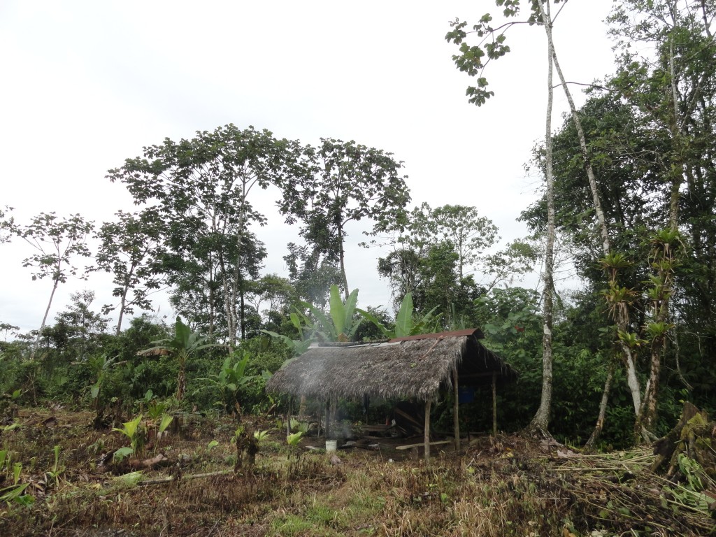 Foto: La choza - Madre Tierra (Pastaza), Ecuador