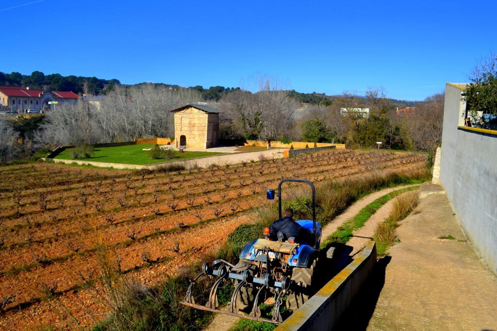 Foto: Columbario romano - Vila-rodona (Tarragona), España