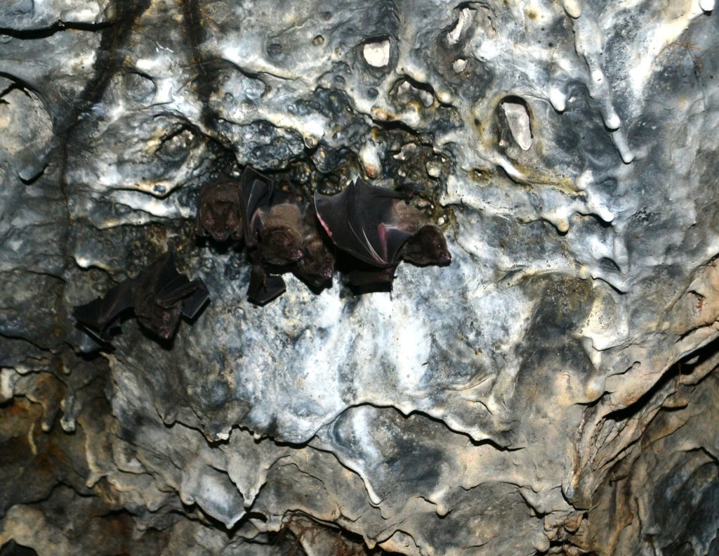 Foto de Masaya, Nicaragua