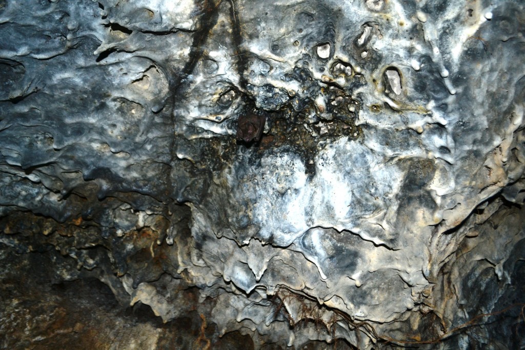 Foto de Masaya, Nicaragua