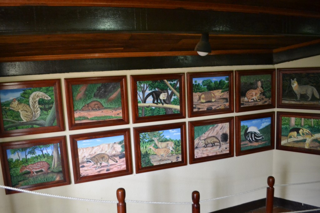 Foto: Museo del volcán Masaya (o Popogatepe) - Masaya, Nicaragua