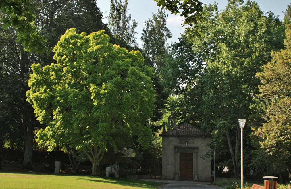 Foto: Parque municipal - Viseu, Portugal