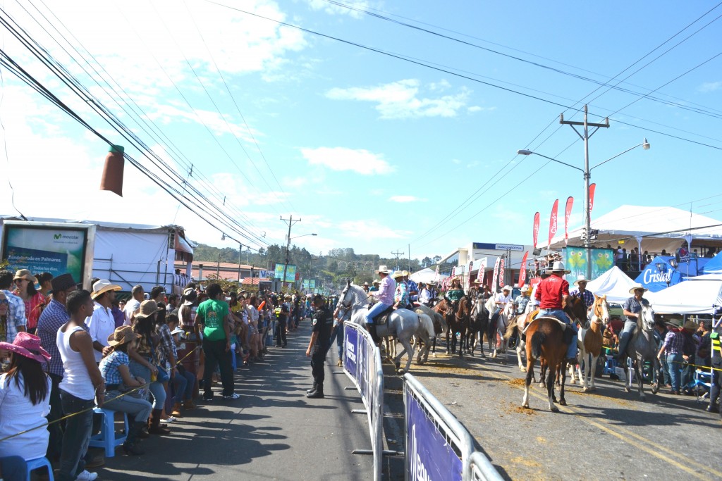 Foto: TOPE DE PALMARES 2013 - Palmares (Alajuela), Costa Rica