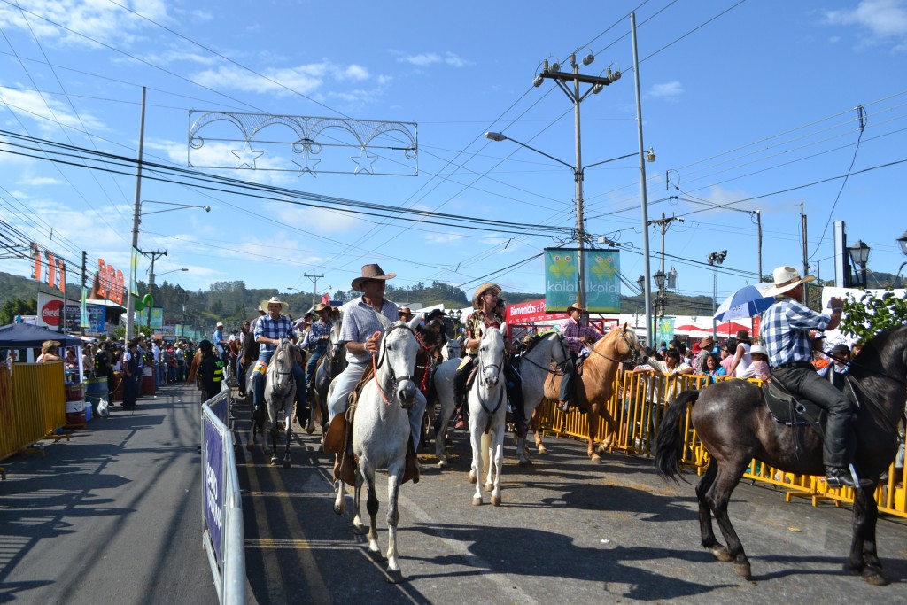 Foto: TOPE DE PALMARES 2013 - Palmares (Alajuela), Costa Rica