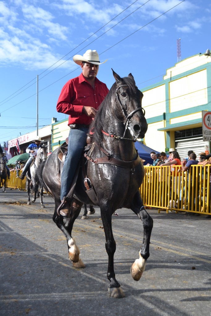 Foto: TOPE PALMARES 20013 - Palmares (Alajuela), Costa Rica