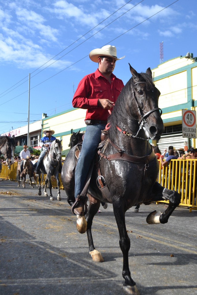 Foto: TOPE PALMARES 20013 - Palmares (Alajuela), Costa Rica