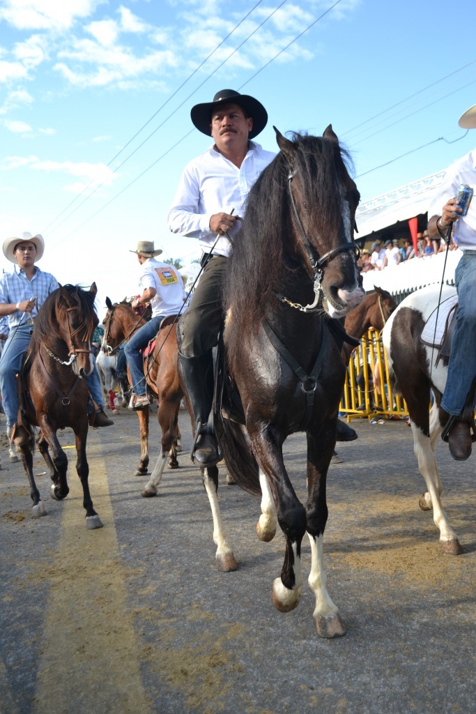 Foto: TOPE PALMARES 20013 - Palmares (Alajuela), Costa Rica