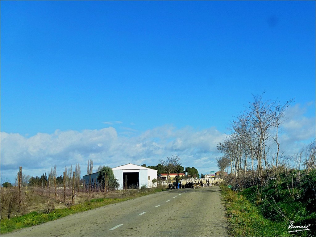 Foto: 130121-14 GURREA DE GALLEGO - Gurrea De Gallego (Huesca), España