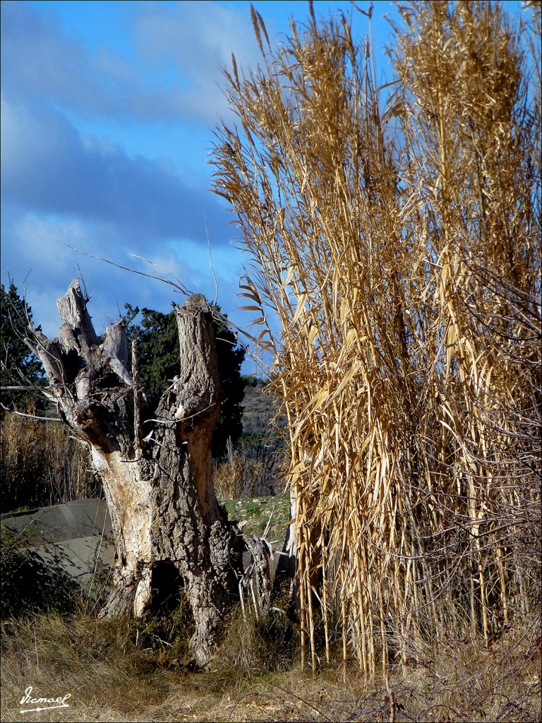 Foto 13012122 GURREA DE GALLEGO Gurrea De Gallego (Huesca), España