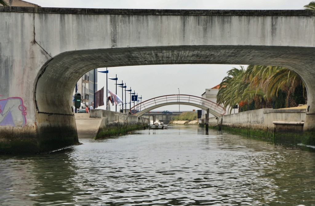 Foto: Navegando en un moliceiro - Aveiro, Portugal