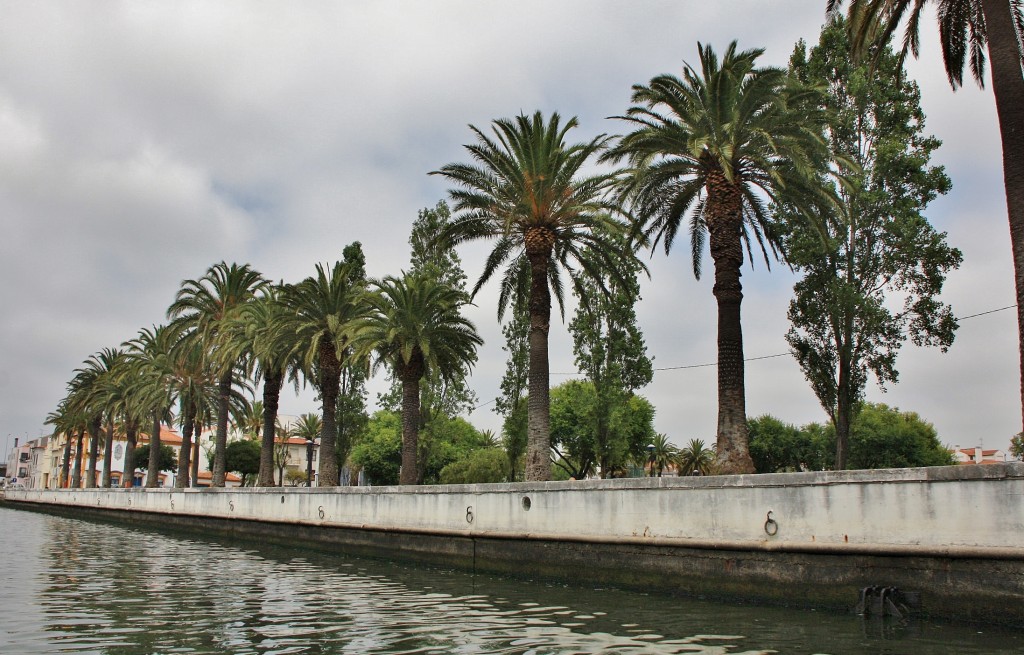 Foto: Navegando en un moliceiro - Aveiro, Portugal