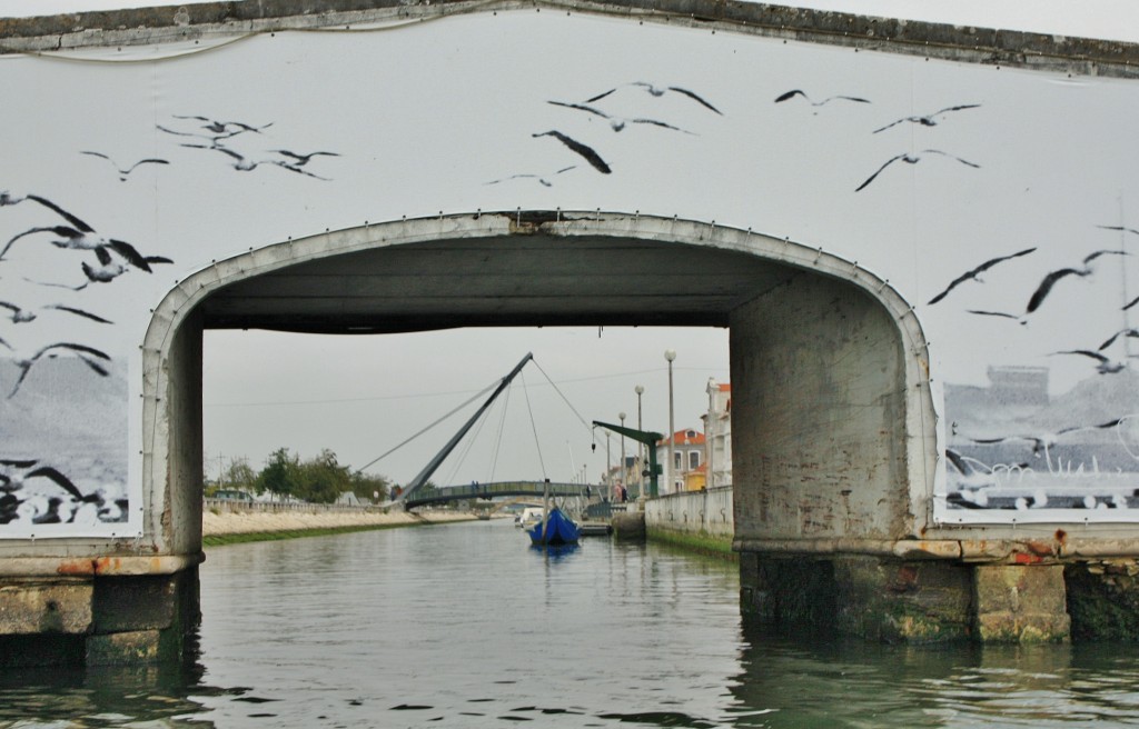 Foto: Navegando en un moliceiro - Aveiro, Portugal