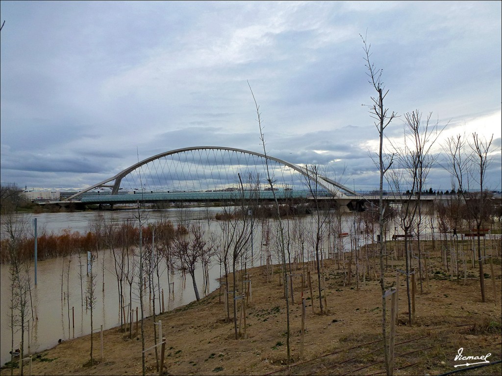 Foto: 130122-108 RIADA EN EL EBRO - Zaragoza (Aragón), España