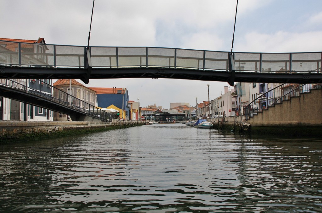 Foto: Navegando en un moliceiro - Aveiro, Portugal