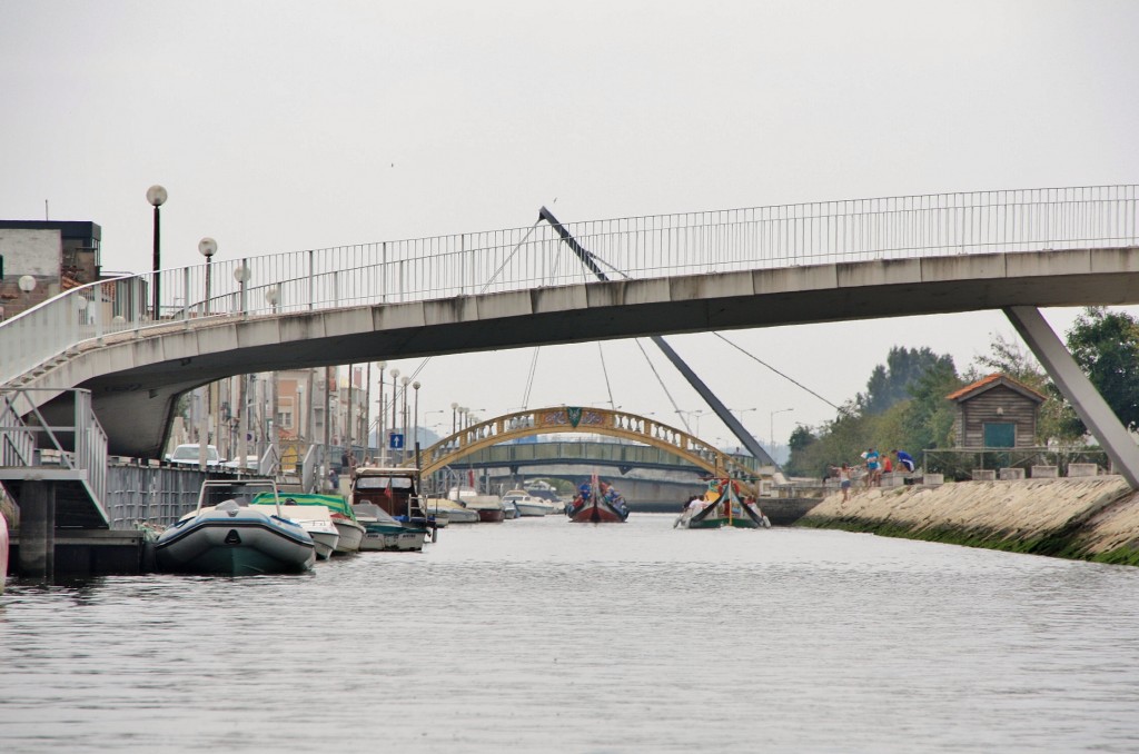 Foto: Navegando en un moliceiro - Aveiro, Portugal