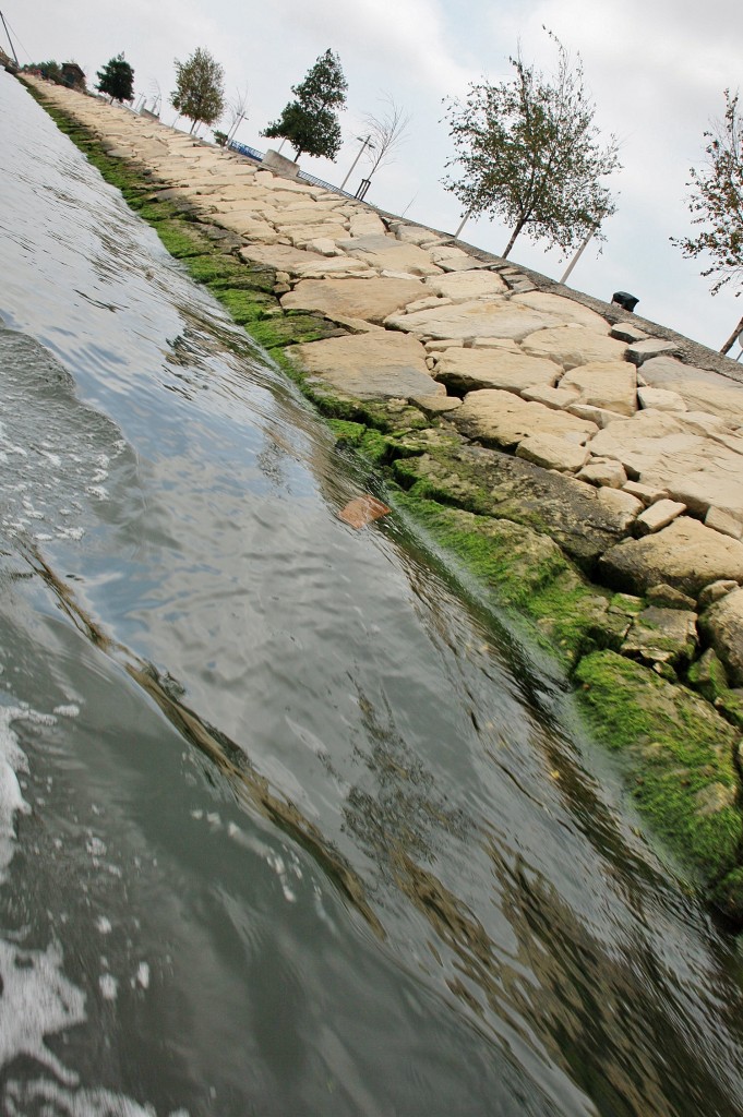 Foto: Navegando en un moliceiro - Aveiro, Portugal