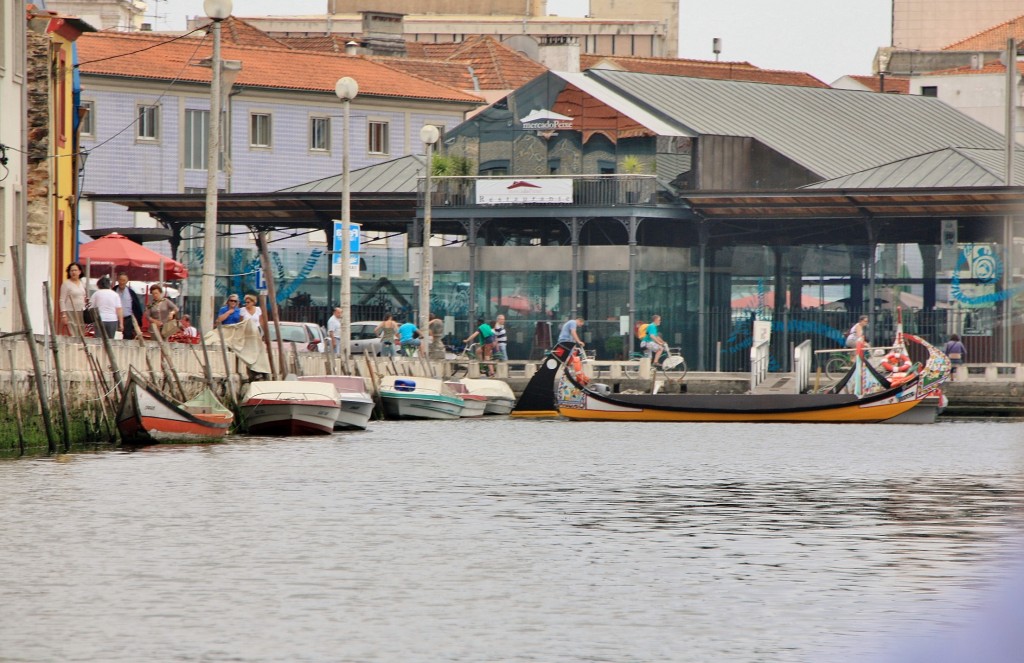 Foto: Navegando en un moliceiro - Aveiro, Portugal