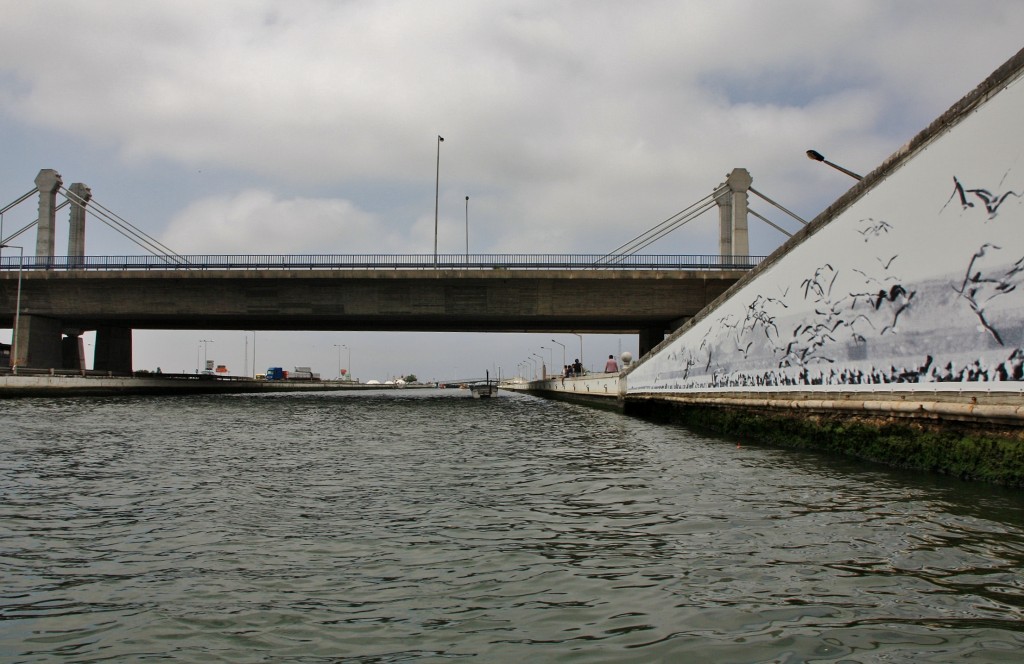Foto: Navegando en un moliceiro - Aveiro, Portugal
