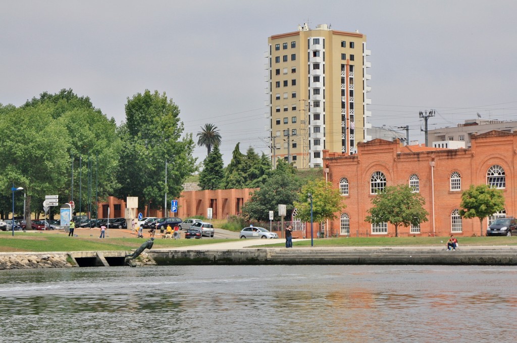 Foto: Navegando en un moliceiro - Aveiro, Portugal
