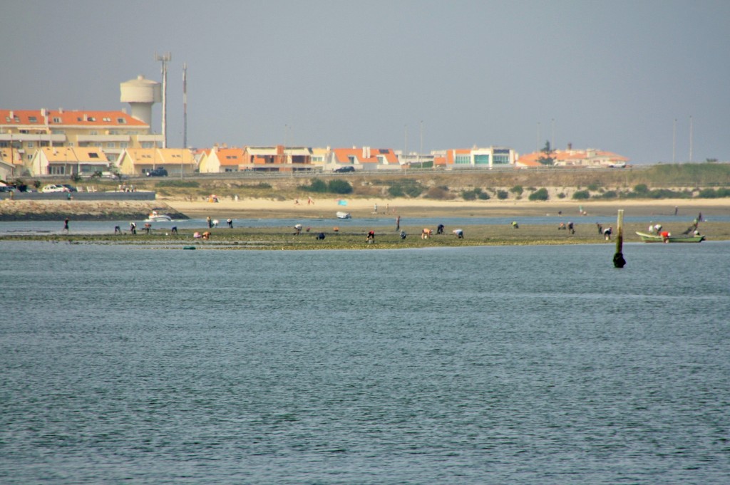 Foto: Ria de Aveiro - Aveiro, Portugal