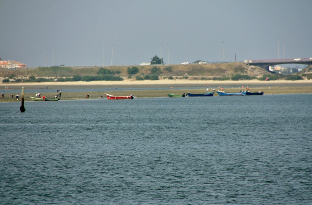 Foto: Ria de Aveiro - Aveiro, Portugal