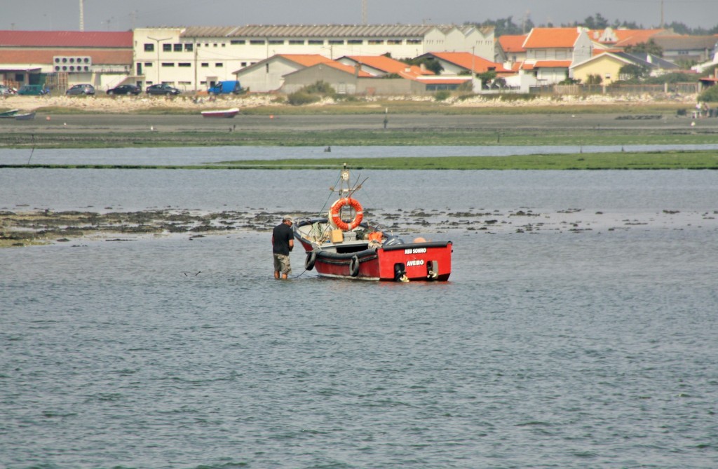 Foto: Ria de Aveiro - Aveiro, Portugal