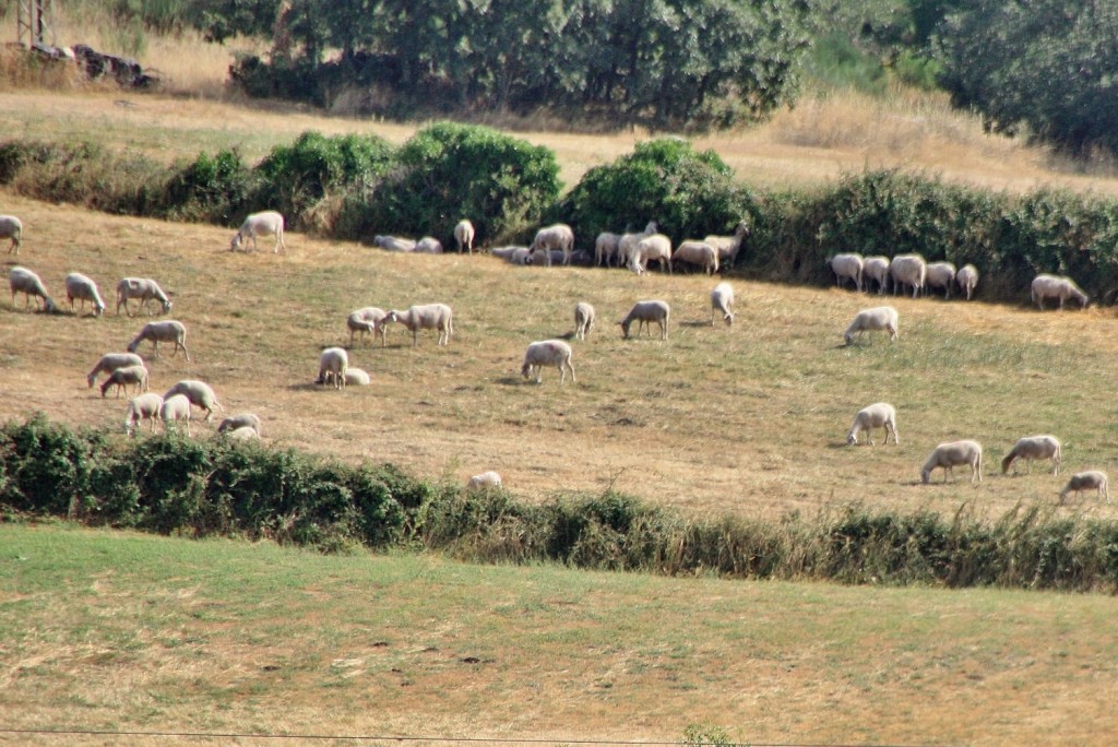 Foto: Vistas desde el castillo - Trancoso (Guarda), Portugal