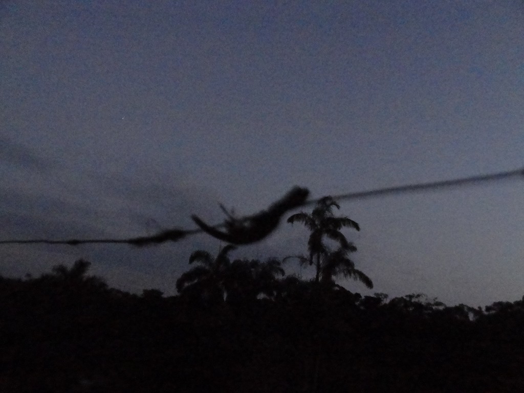 Foto: Cabo comando - Shell (Pastaza), Ecuador