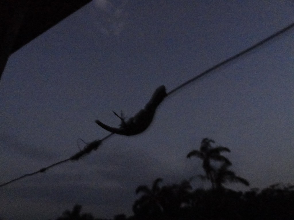 Foto: Cabo comando - Shell (Pastaza), Ecuador