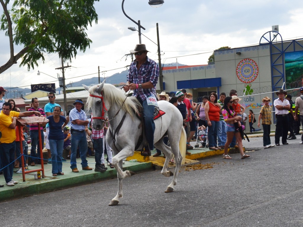 Foto: Tope Sarchi 2013 - Sarchi (Alajuela), Costa Rica